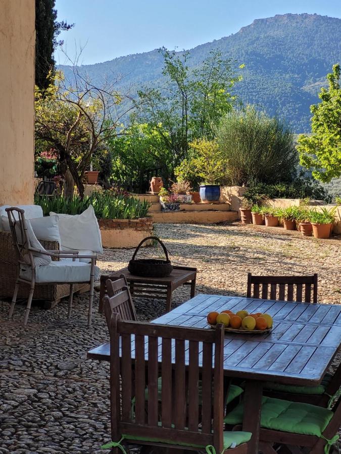 Cortijo El Pino Retreat Bed & Breakfast Albunuelas ภายนอก รูปภาพ