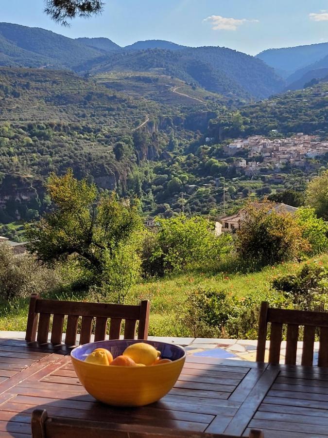 Cortijo El Pino Retreat Bed & Breakfast Albunuelas ภายนอก รูปภาพ