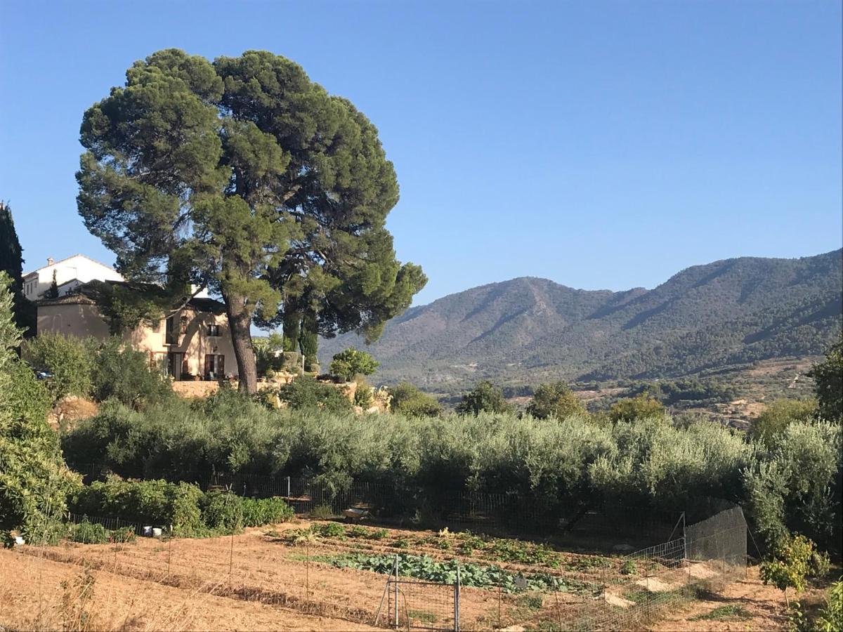 Cortijo El Pino Retreat Bed & Breakfast Albunuelas ภายนอก รูปภาพ