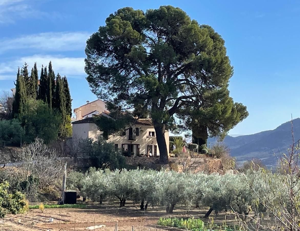 Cortijo El Pino Retreat Bed & Breakfast Albunuelas ภายนอก รูปภาพ