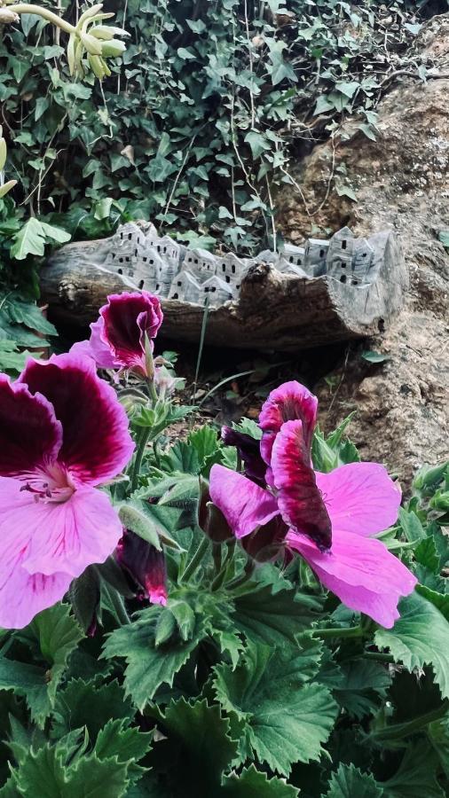 Cortijo El Pino Retreat Bed & Breakfast Albunuelas ภายนอก รูปภาพ